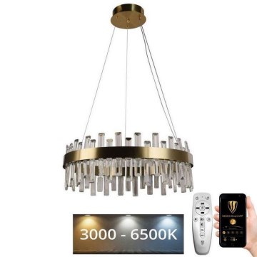 LED állítható fényerejű kristály csillár kábelre LED/80W/230V 3000-6500K + távirányító