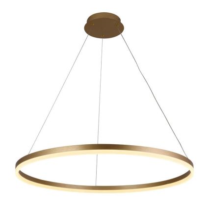 LED Fényerőszabályzós csillár kábellel LED/55W/230V 3000-6500K átm. 80 cm + távirányító