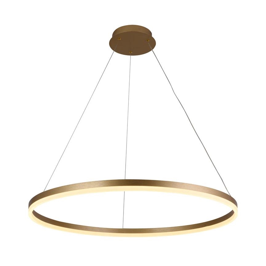 LED Fényerőszabályzós csillár kábellel LED/55W/230V 3000-6500K átm. 80 cm + távirányító