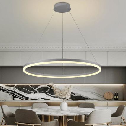 LED Fényerőszabályzós csillár kábellel LED/55W/230V 3000-6500K átm. 80 cm + távirányító