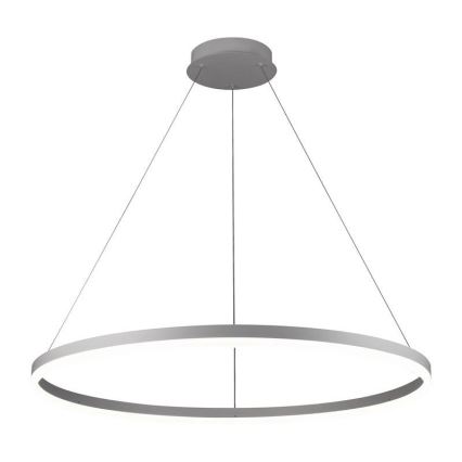 LED Fényerőszabályzós csillár kábellel LED/55W/230V 3000-6500K átm. 80 cm + távirányító