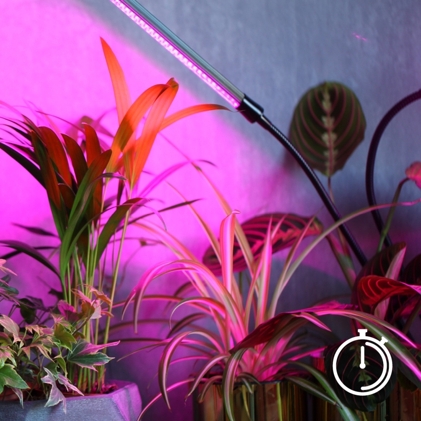 LED állítható fényerejű, rugalmas asztali lámpa csíptetővel növénytermesztéshez VITARO 4xLED/10W/230V fekete