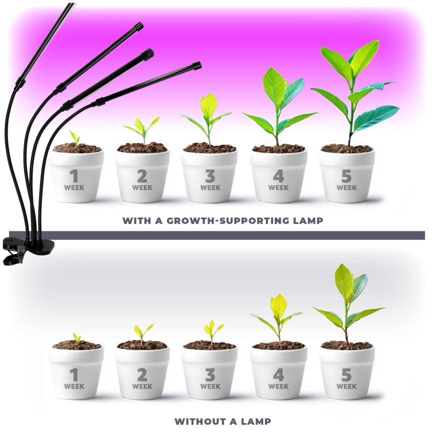 LED állítható fényerejű, rugalmas asztali lámpa csíptetővel növénytermesztéshez VITARO 4xLED/10W/230V fekete