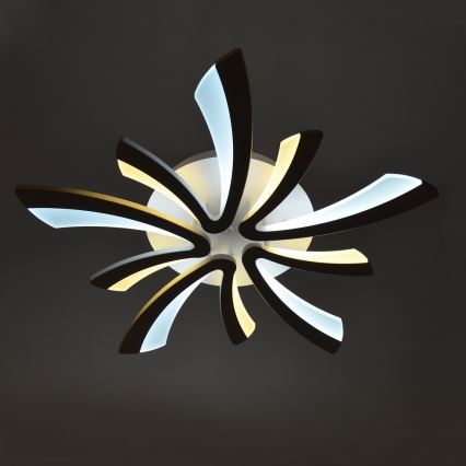 LED Dimmeres mennyezeti lámpa FLORANCE 2xLED/50W/230V + távirányító