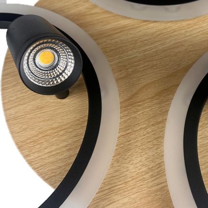 LED Fényerőszabályozható mennyezeti lámpa LED/70W/230V 3000-6500K fekete/barna + távirányító