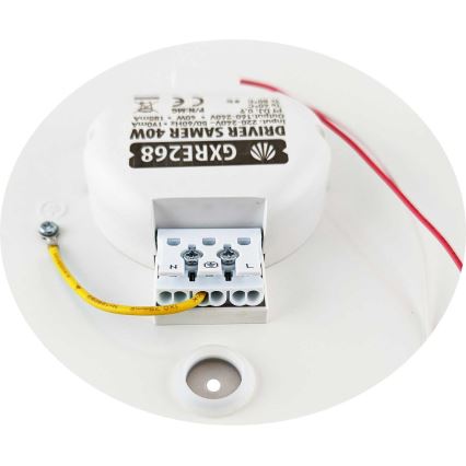LED Dimmeres mennyezeti lámpa SAMER LED/40W/230V 2900-6000K + távirányító