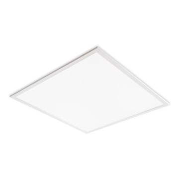 LED álmennyezeti panel DAVRO LED/40W/230V 4000K 59,5x59,5 cm fehér