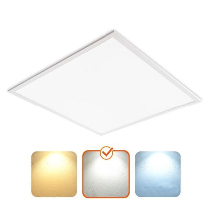 LED álmennyezeti panel DAVRO LED/40W/230V 4000K 59,5x59,5 cm fehér