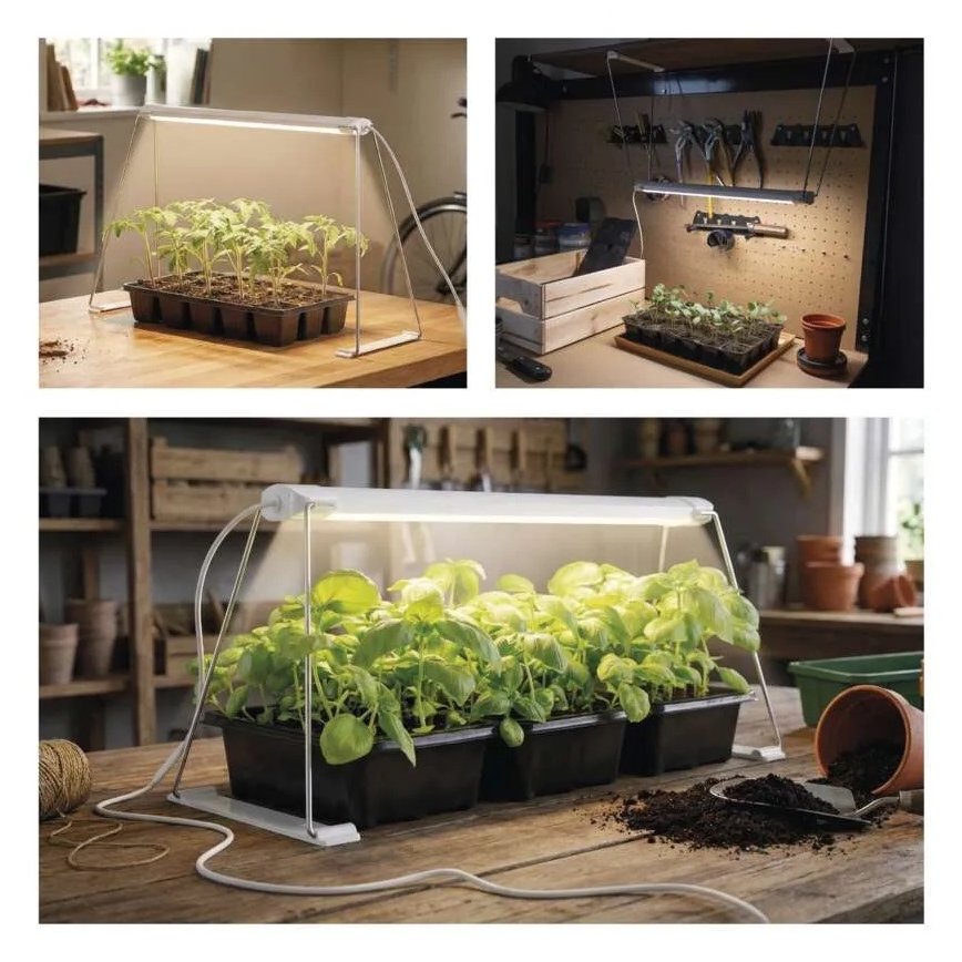 LED beltéri növénytermesztő lámpa GROW LED/15W/230V