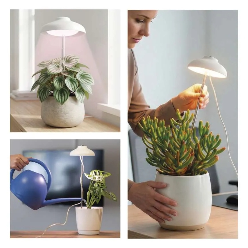 LED beltéri növénytermesztő lámpa GROW LED/5W/5V