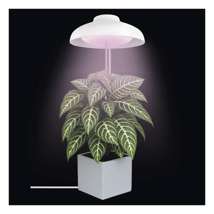 LED beltéri növénytermesztő lámpa GROW LED/5W/5V