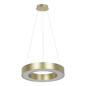 LED csillár kábelen UNION, 40W/230V, 3000/4000/6500K, Ø 40 cm, aranyszínű