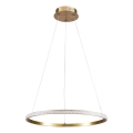 LED csillár kábellel DIANA LED/25W/230V 4000K Ø 50 cm arany