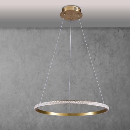 LED csillár kábellel DIANA LED/25W/230V 4000K Ø 50 cm arany