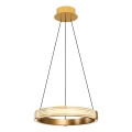 LED csillár kábellel JESI LED/22W/230V 3000K Ø 40 cm arany