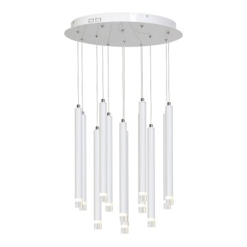 LED Csillár zsinóron ALBA 12xLED/1W/230V fehér