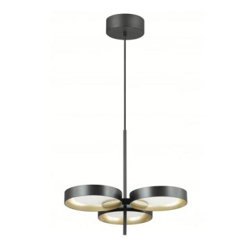 LED Csillár zsinóron BELLO 3xLED/8W/230V