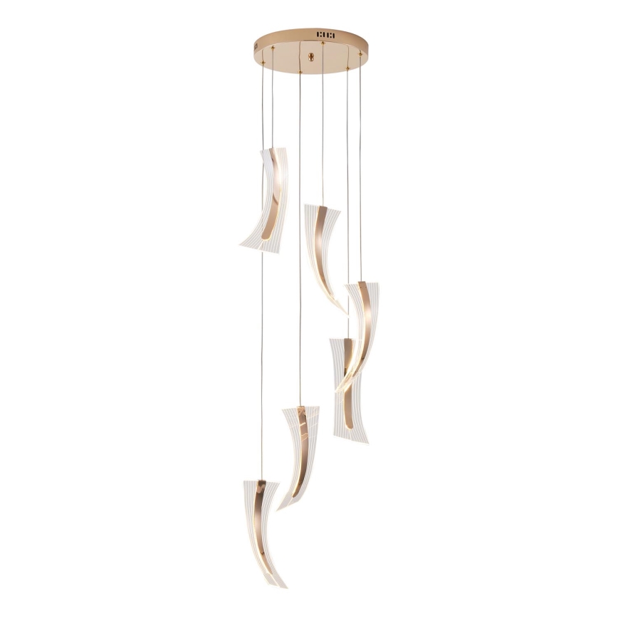 LED Csillár zsinóron FIRENZE 6xLED/10W/230V 3000K