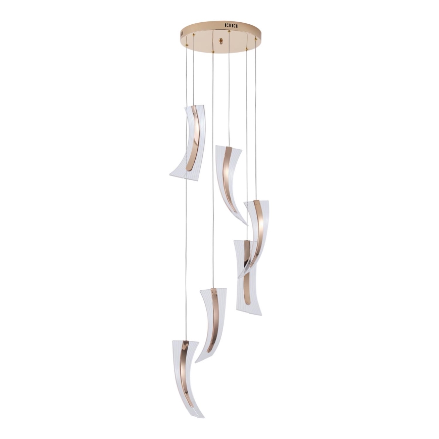 LED Csillár zsinóron FIRENZE 6xLED/10W/230V 3000K