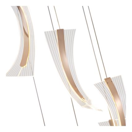 LED Csillár zsinóron FIRENZE 6xLED/10W/230V 3000K