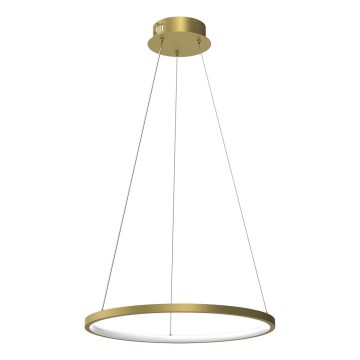 LED Csillár zsinóron HOOP LED/27W/230V átm. 50 cm 4000K arany