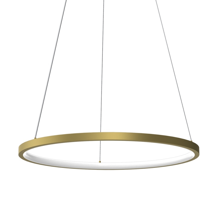 LED Csillár zsinóron HOOP LED/27W/230V átm. 50 cm 4000K arany