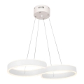 LED Csillár zsinóron INFINITY LED/50W/230V