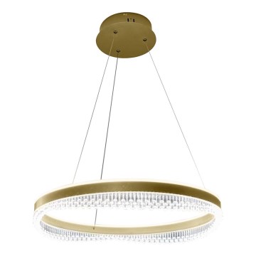 LED Csillár zsinóron LED/52W/230V átm. 60 cm arany