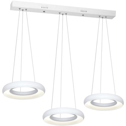 LED Csillár zsinóron RONDO 3xLED/12W/230V
