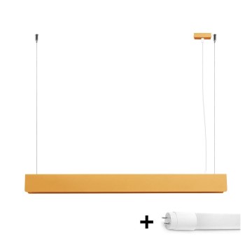 LED Csillár zsinóron SPARK 1xG13/8,5W/230V arany