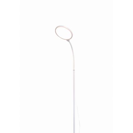 LED Dimmelhető állólámpa 2in1 LED/10W/230V fehér