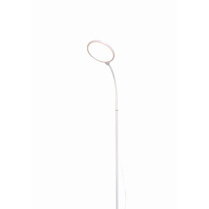 LED Dimmelhető állólámpa 2in1 LED/10W/230V fehér