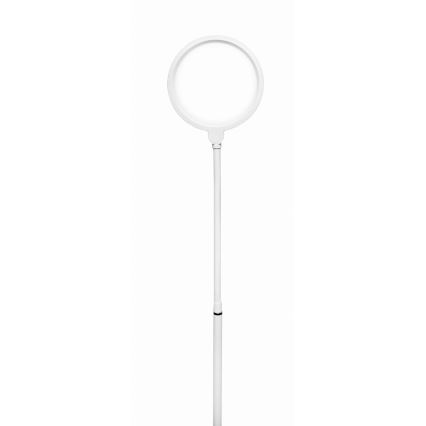 LED Dimmelhető állólámpa 2in1 LED/10W/230V fehér