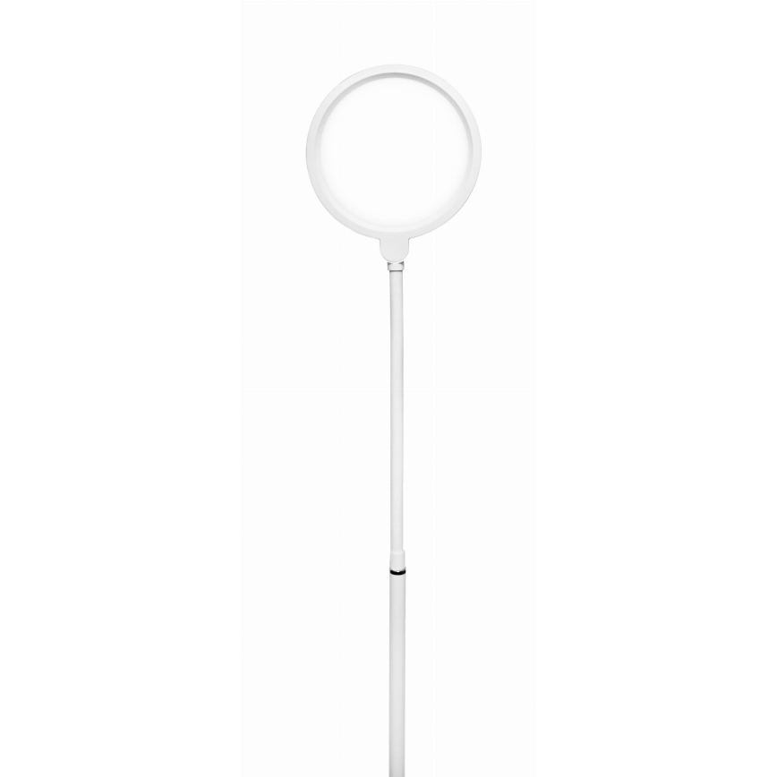 LED Dimmelhető állólámpa 2in1 LED/10W/230V fehér