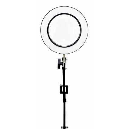 LED Dimmelhető asztali lámpa nagyítóval LED/10W/230V 3000/4500/6000K