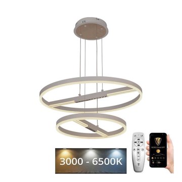 LED Dimmelhető csillár zsinóron LED/100W/230V 3000-6500K átm. 60 cm + távirányítás