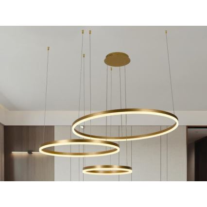 LED Dimmelhető csillár zsinóron LED/125W/230V 3000-6500K átm. 80 cm + távirányítás