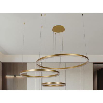 LED Dimmelhető csillár zsinóron LED/125W/230V 3000-6500K átm. 80 cm + távirányítás