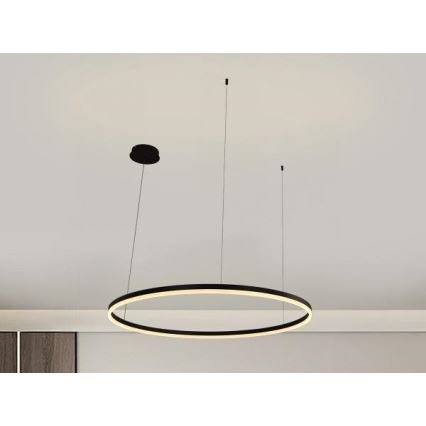 LED dimmelhető csillár zsinóron LED/55W/230V 3000-6500K átm. 80 cm + távirányítás