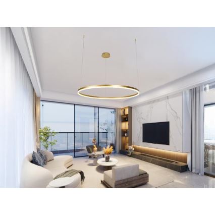 LED dimmelhető csillár zsinóron LED/55W/230V 3000-6500K átm. 80 cm + távirányítás