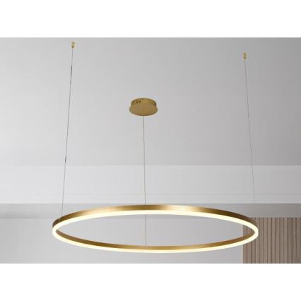LED dimmelhető csillár zsinóron LED/72W/230V 3000-6500K átm. 100 cm + távirányítás
