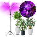 LED Dimmelhető flexibilis állólámpa növények termesztésére VITARO 4xLED/7,5W/230V fekete