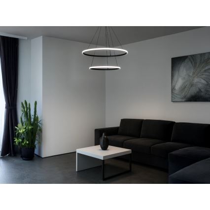 LED dimmelhető kábelre függesztett csillár LED/55W/230V 3000-6500K átm. 60 cm + távirányító