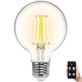 LED Dimmelhető izzó FILAMENT G80 E27/6W/230V 2700-6500K Wi-Fi - Aigostar