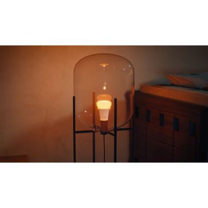 Dimmelhető Philips Hue WHITE AND COLOR AMBIANCE LED-izzó E27/8,1W/230V 1000-20000K
