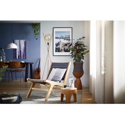 LED Dimmelhető izzó VINTAGE Philips G200 E27/7W/230V 2000K