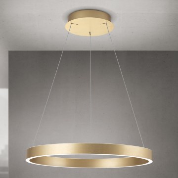 LED dimmelhető kábeles csillár KOLK LED/60W/230V 2700/3000/4000K Ø 60 cm arany