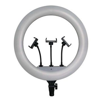 LED dimmelhető lámpa állvánnyal és tartóval vlogoláshoz LED/55W/230V CRI 90 + távirányító
