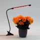 LED Dimmelhető lámpa csipeszes növények megvilágítására LED/3W/230V fekete