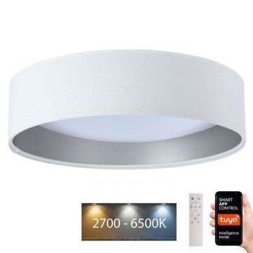 LED Dimmelhető lámpa SMART GALAXY LED/36W/230V á. 55 cm Wi-Fi Tuya + távirányító